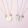 2 Stück/Set Beste Freunde Anhänger Halskette Für Frau Magnetisch Verstellbar Regenbogen Gänseblümchen Liebhaber Zerbrochenes Herz Kette BFF Schmuck Geschenke