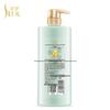 Selsun Blue Green Tea Seed Oil Control Anti-Dandruff Shampoo