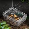 Reptile Lizards Geckos Feeding Bowls Prevent Tenebrio Molitor and Blaptica Dubia Anti Overturning Trough Feeder Transparent