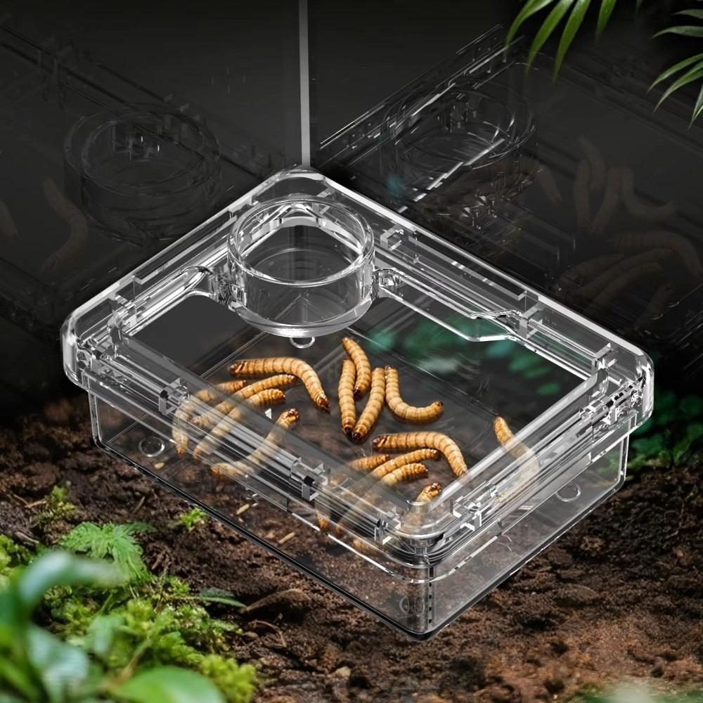 Reptile Lizards Geckos Feeding Bowls Prevent Tenebrio Molitor and Blaptica Dubia Anti Overturning Trough Feeder Transparent