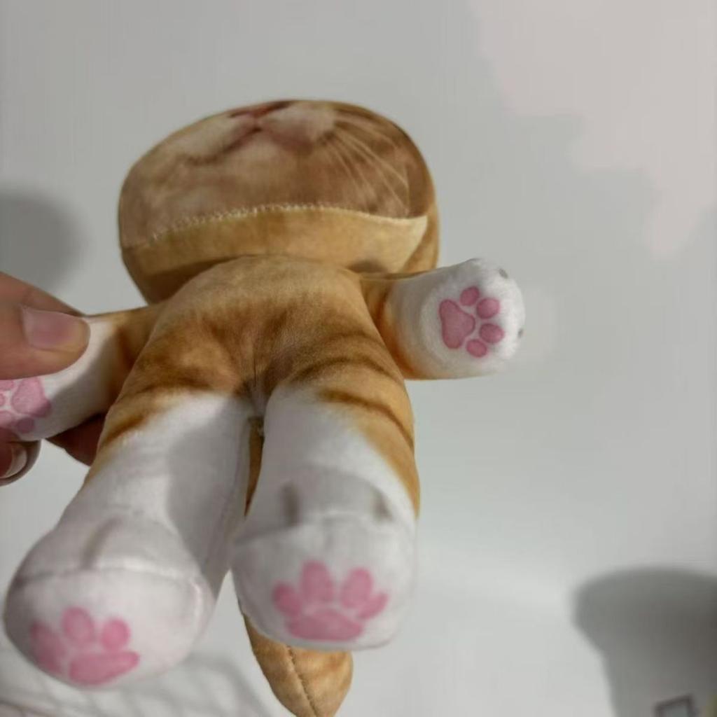 20Cm Cute Simulation Cat Plush Toys With Skeleton Kawaii Stuffed Animal Cartoon Room Decoration Doll Soothing Companion Kid Gift