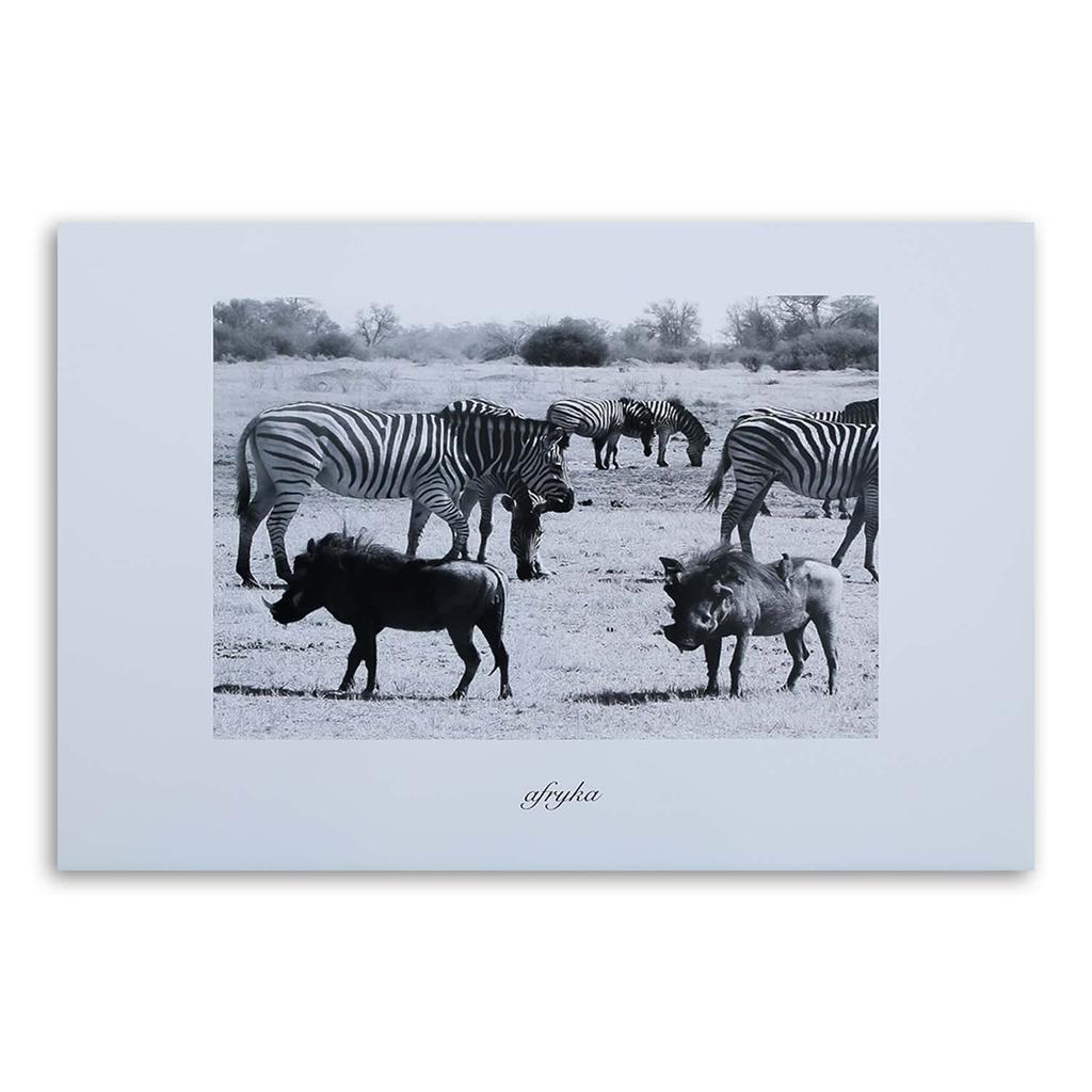 Canvas Print Africa Savannah Animals