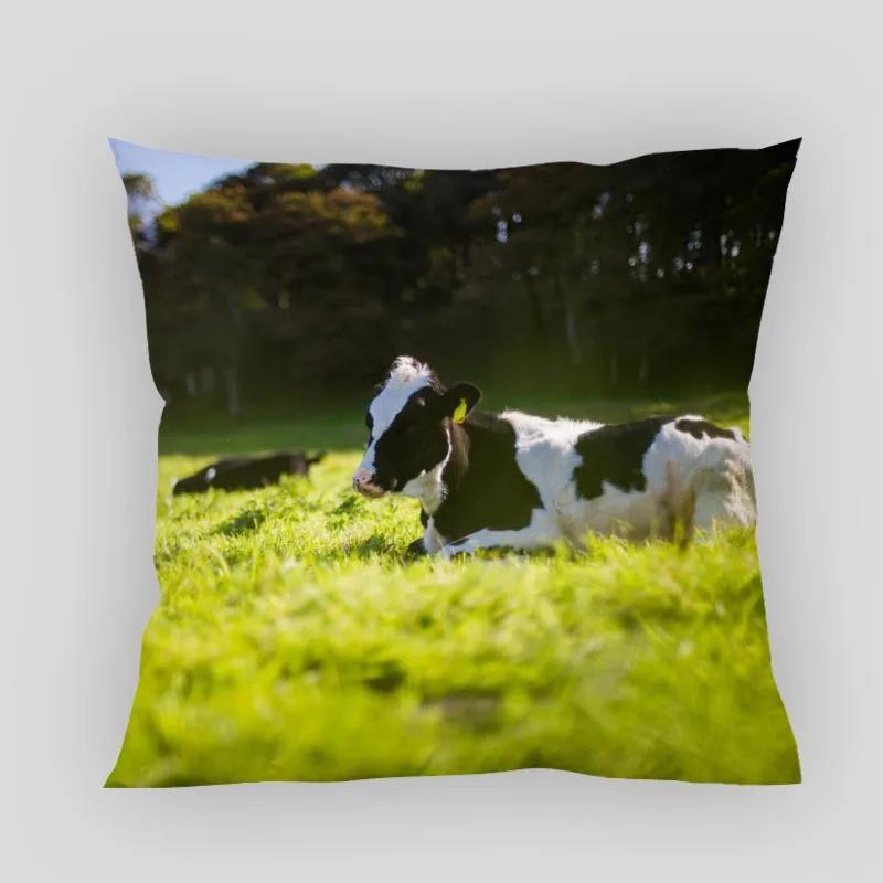 Animals Cow Pillow Cover Customize Pillowcase Modern Home Decorative Pillow Case For Living Room 45X45cm,40X40cm