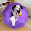 1pc Dog, Ball Automatic Folding Umbrella - Portable Collapsible Design, 8-Rib Iron Frame, Playful Design yy251215212