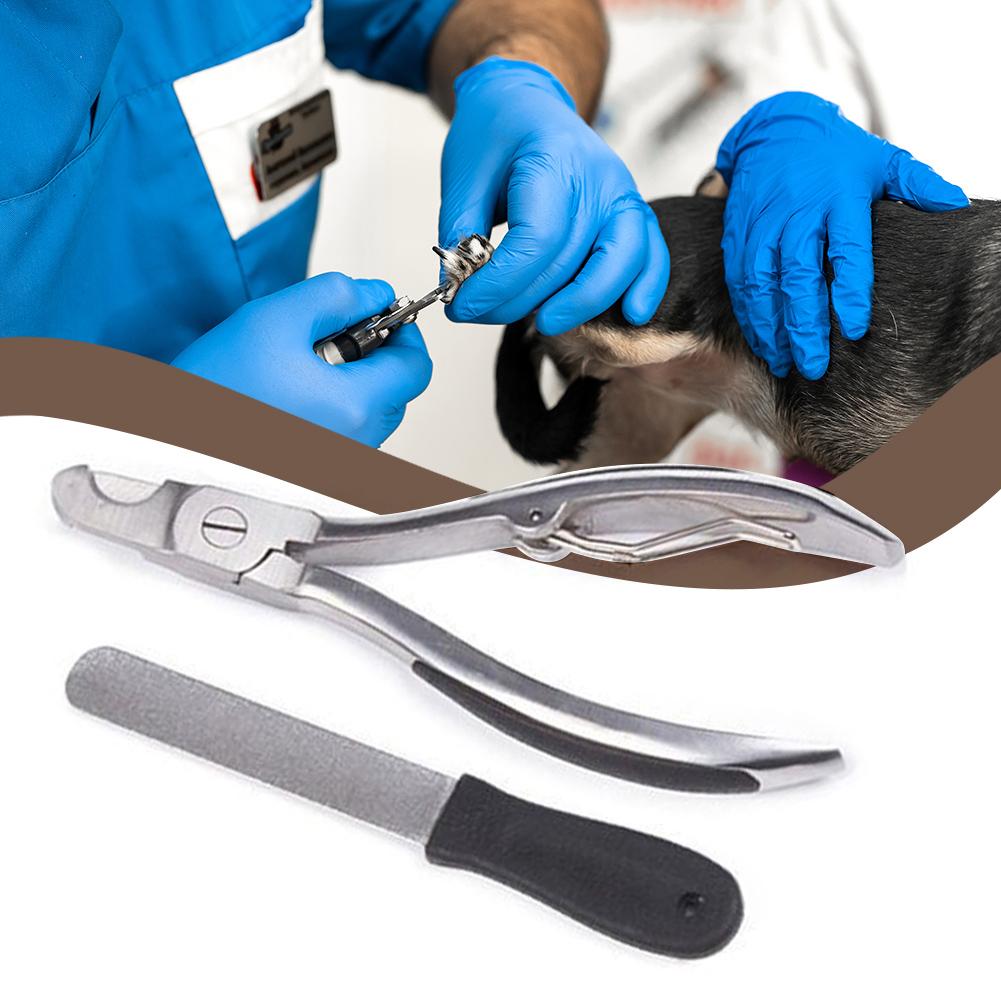 Haustier-Nagelknipser-Set,Katzen-Hunde-Nagelschere mit Sichel,Edelstahl-Haustier-Nagelscheren,Für Haustierkrallen Hundezubehör