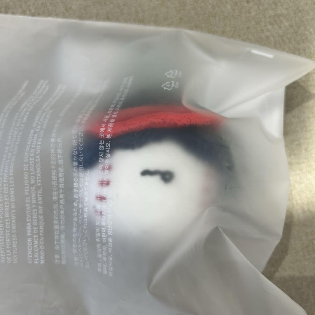 

[USED] TXT PPULBATU HUENINGKAI Keychain LG TWINS