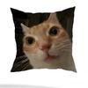 Short Plush Cat Meme Pillow Cover DoubleSided Square Design for MultiScene Sofa Bedroom and Modern Home Decor