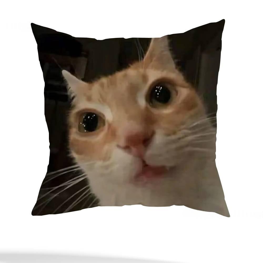 Short Plush Cat Meme Pillow Cover DoubleSided Square Design for MultiScene Sofa Bedroom and Modern Home Decor