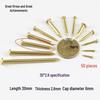 Round Head Brass Nails for DIY Projects and Picture Hanging