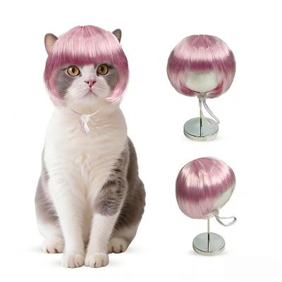 Gatos – Ropa