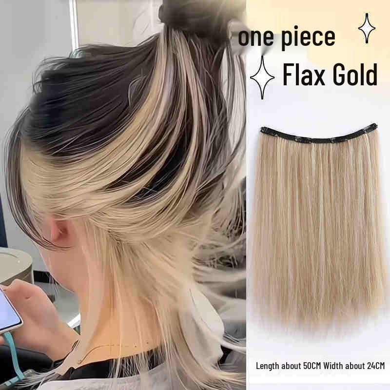 Women's One-Piece Hidden Hair Highlights Clips