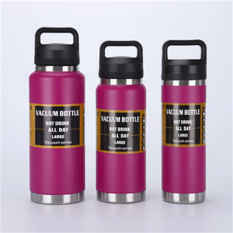 Ally 304 Stainless Steel Insulated Water Bottle