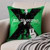 Lyrical  Down to earth POP Singer EEd Sheeran Cushion Cover Pillowcase Antidustmite Invisible Zipper Short Plush Sofa Cushion