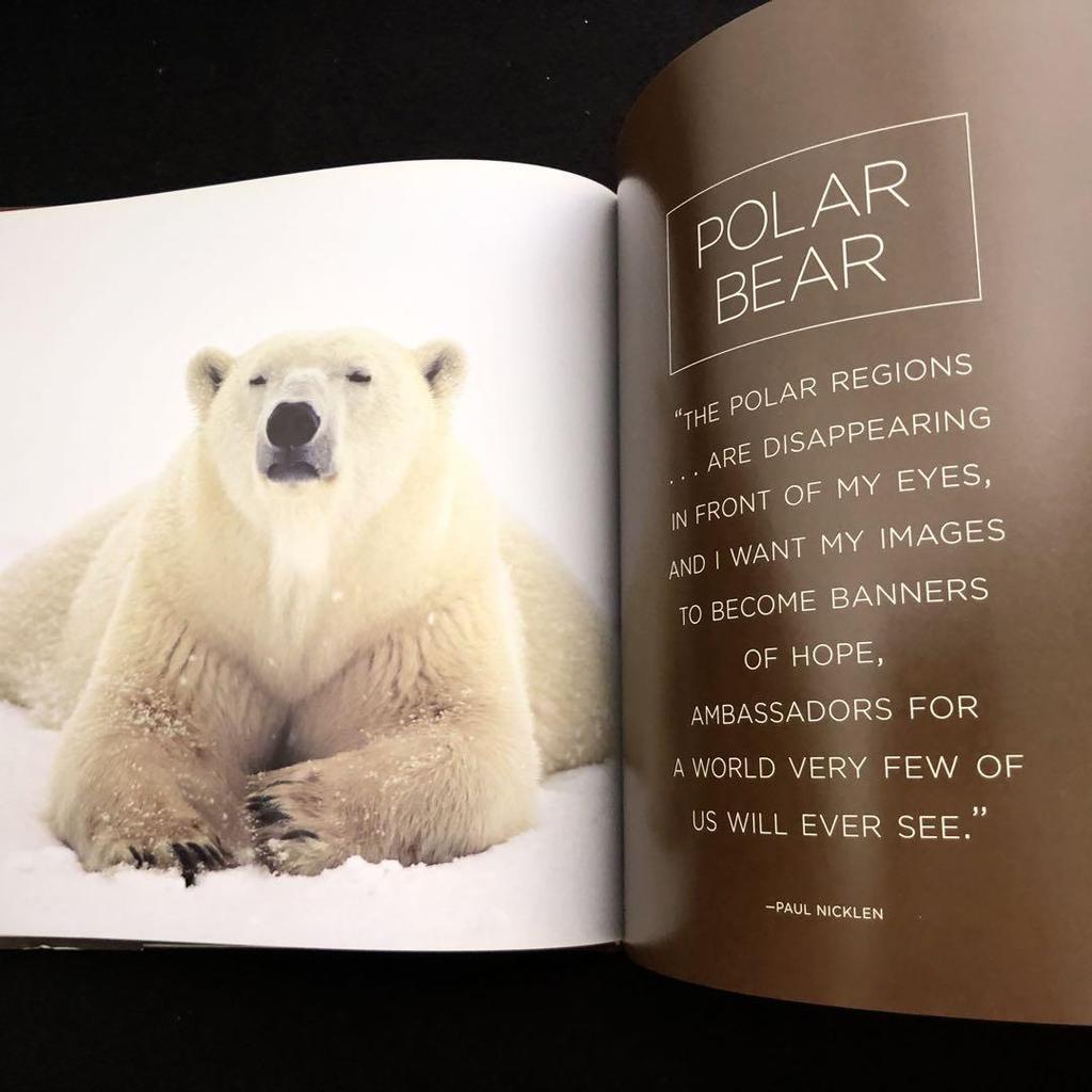 [USED] Paul Nicklen Photo Collection "Bear: Spirit of the Wild
