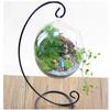 Hanging Ecological Bottle With Iron Holder Glass Vase Creative Micro Landscape Diy Gifts Home Decor