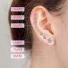 "Crown Stainless Steel Zircon Six-Claw Earrings - Titanium Ear Bone Studs for Women"
