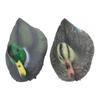 Realistic Design Floating Duck Decoy Realistic Duck Decoy Lifelike Colors