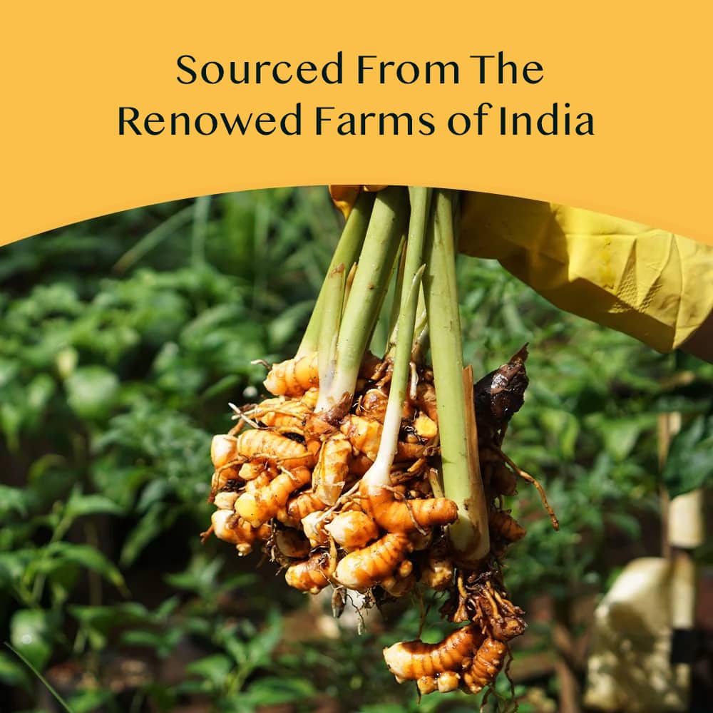 VAHDAM India, Infusions, Herbal Tea, Turmeric Matcha+, 18 Infusion Bags, 27g (0.95oz)