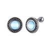Punk Stainless Steel Stud Earrings Round Blue Resin Simple Fashion Jewelry for Women Men