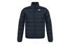 ESSENTIALS Down Jacket Asia Version, Winter Men's Legend Ink GH4594