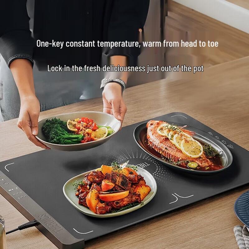 

THERMOS Foldable Double-Zone Food Warmer Plate