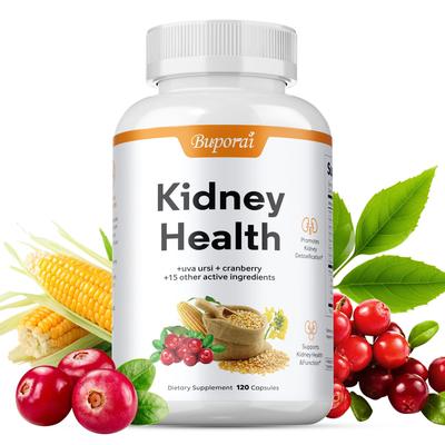 Arbutin Complex Capsules - Kidney Health
