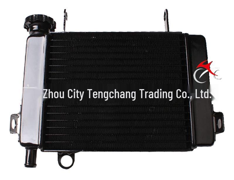 Motorcycle Radiator Water Cooler for CBR125 (2003-2009)