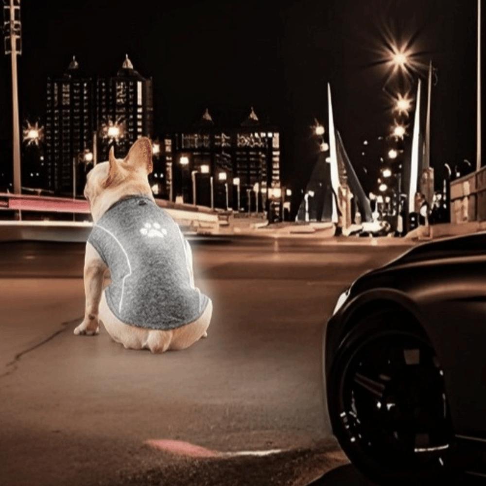 Thin Breathable Dog Reflective Vest Reflective Strips Soft Dog Cooling Vest Sleeveless Pet T-Shirt Photography