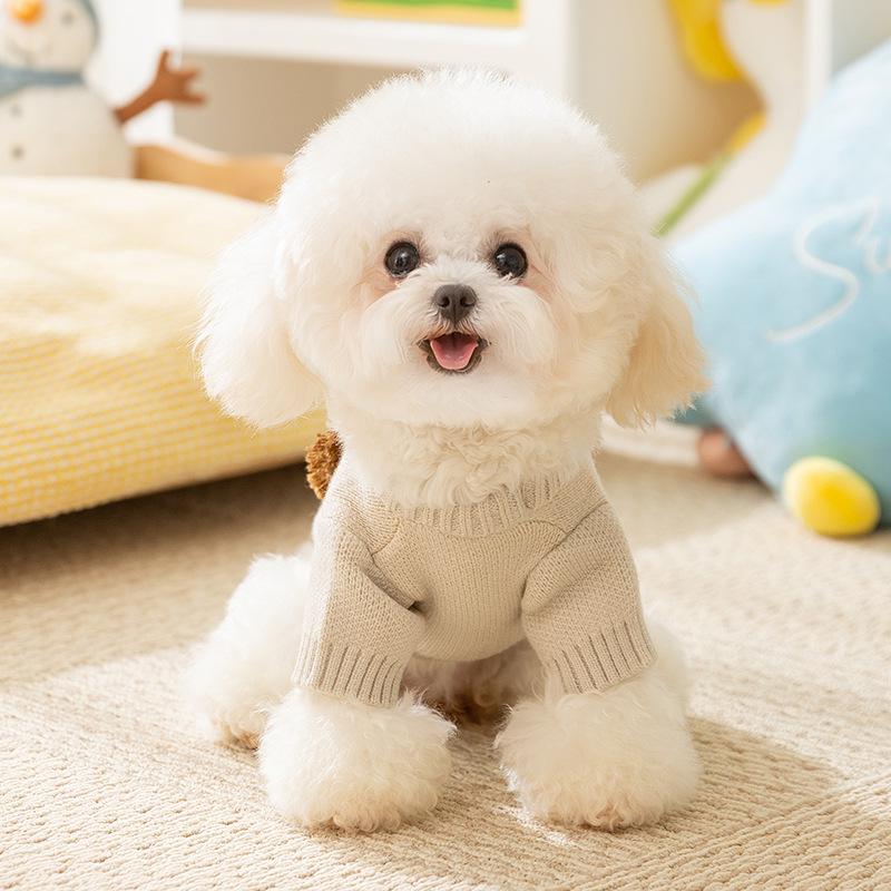 Autumn/Winter Cute Lion Sweater for Small To Medium Dogs - Warm Two-Legged Pet Clothing