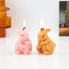 Mini Easter Rabbit Silicone Candle Mold DIY  Head Turning Rabbit ,Rabbit Holding Carrot  Designs Handmade Candles Gypsum Crafts