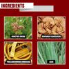 6ML Delay Spray Improve Fertility Safe Plant Extracts Lasting Masculine Performance Spray for External Use