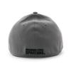 [New Era] Cap 39THIRTY Michigan State Spartans NCAA TEAM CLASSIC FLEX FIT CAP MICHIGAN STATE SPARTANS College STRETCH FIT University Stretch Fit 3930