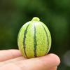 Resin Fruit Miniature Blind Bag Set With Realistic Model For Kids And Collectors
