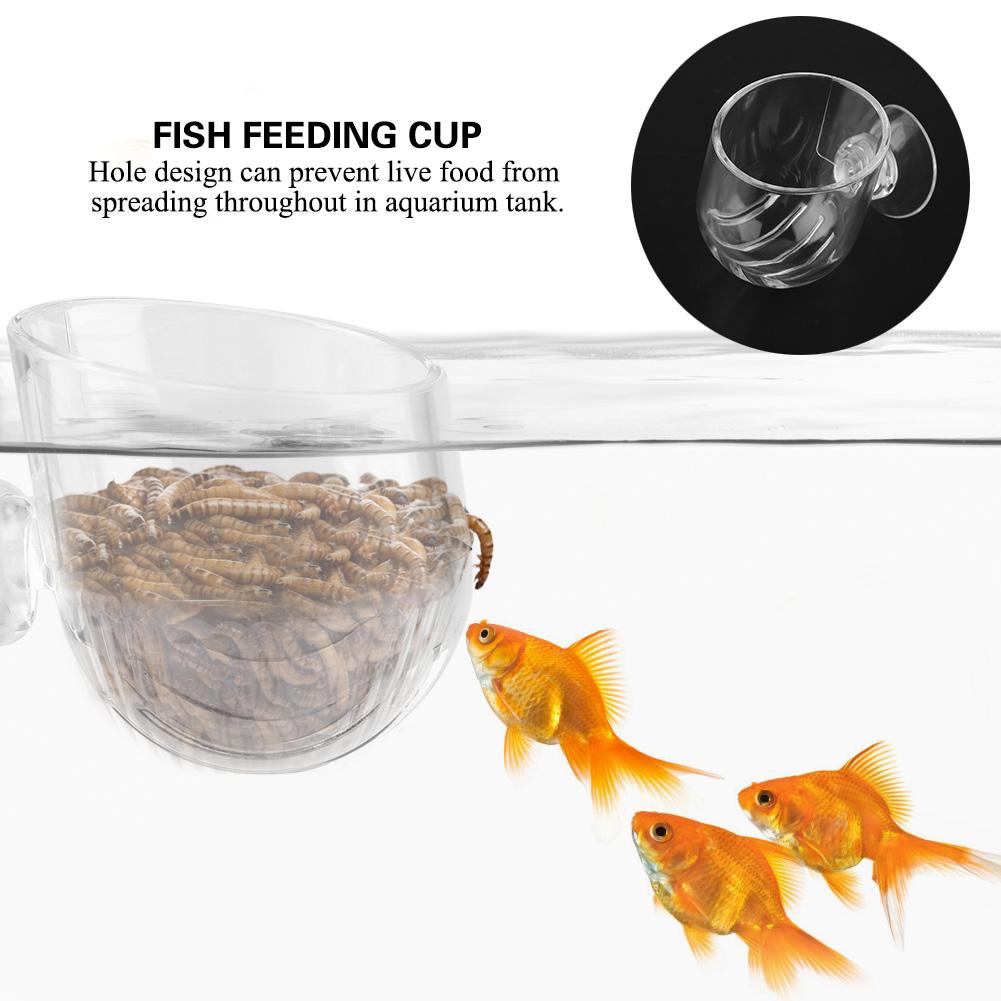 Transpatent Acrylic Feeding Cup Fish Red Worm Feeder Cups for Aquarium