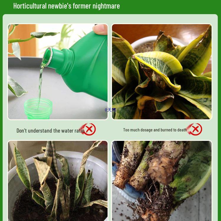 Snake Plant Flower Nutrient: Water-Soluble Fertilizer for Golden Edge Green Potted Plants, No Dilution Needed