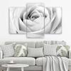 Three piece picture canvas print White Rose Flowers