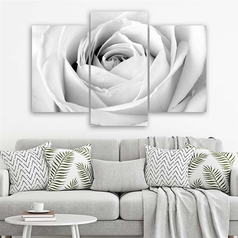 Three piece picture canvas print White Rose Flowers
