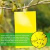 20Pcs Strong Fly Traps Bugs Sticky Board Dual-Sided Catching Aphid Insect Pest Control Whitefly Thrip Leafminer Glue Sticker