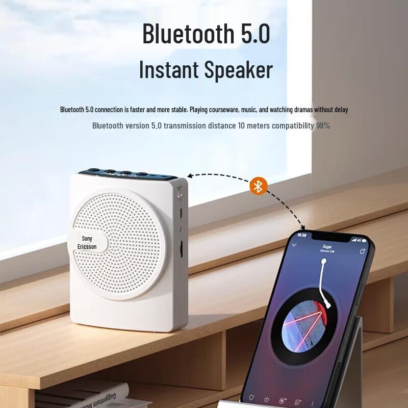 Soai S628 Portable Voice Amplifier