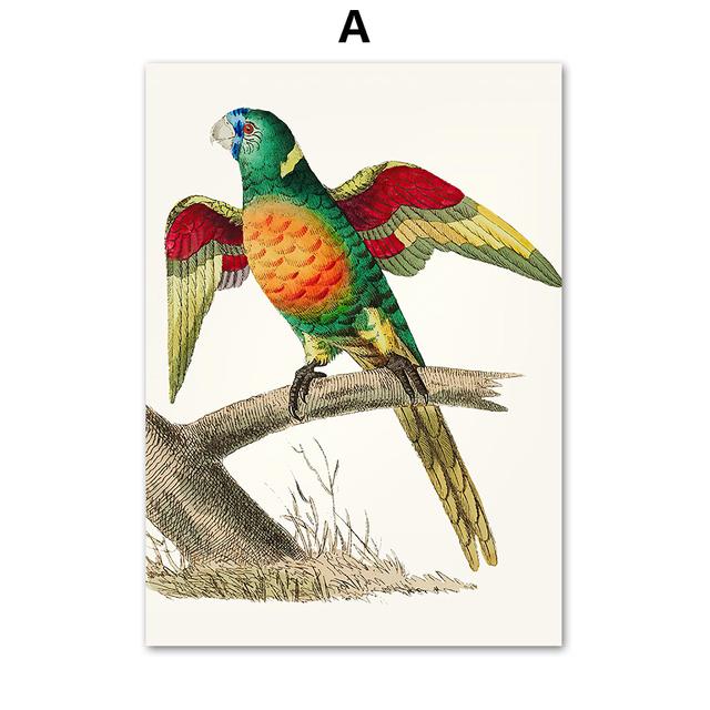 Papagal Pasăre Artă de perete de epocă Pictură pe pânză colibri colorat Postere nordice și imprimeuri Poze de perete pentru decorarea camerei de zi, fără cadru