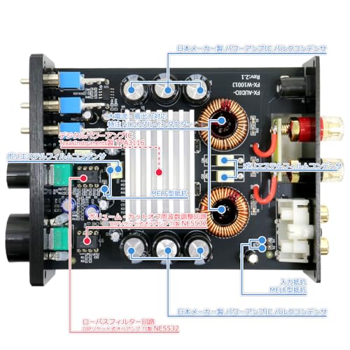 FX-AUDIO- FX-W1001J [Black] TPA3116 Digital Amplifier IC with PBTL Low-Pass Filter, Mono Power Amplifier, 100W X 1ch ParallelBTL, Subwoofer Amplifier