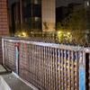 304 Stainless Steel Anti-Climb Wall Spikes