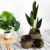Seagrass Belly Basket with Handles Multipurpose Wicker Storage Basket Laundry Garden Decorative Storage Organizer