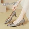 Pointed high heels women's thin heels temperament socialite 2025 new spring and autumn women's shoes small high heels shallow mouth French single shoe