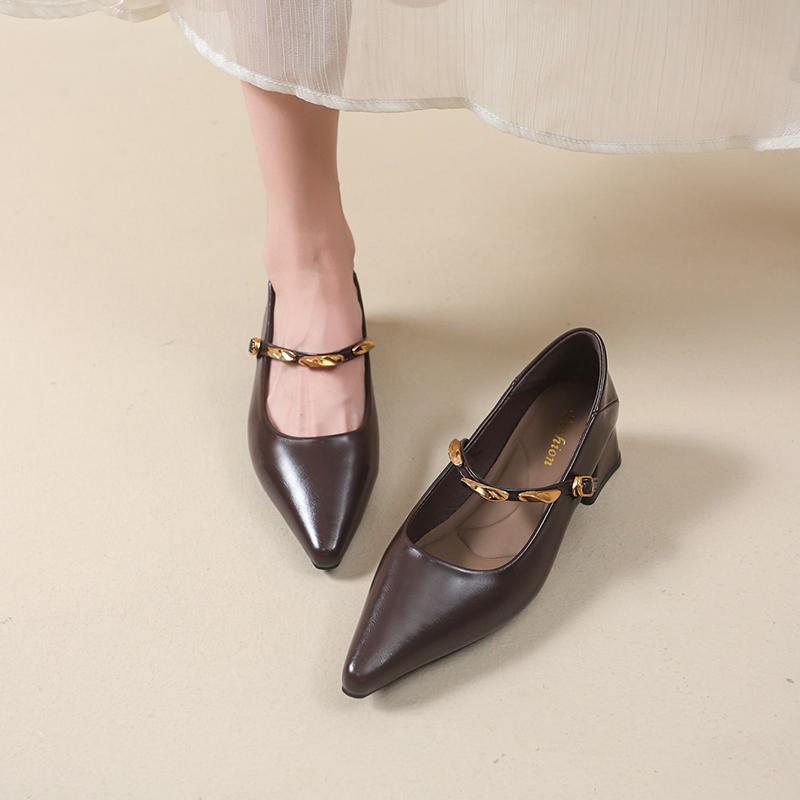 Fashion New Women's Designer Vintage Pointed Toe Women Mary Jane Shoe Fashion Shallow Buckle Shoes Ladies Elegant Dress Thick Heel Shoes