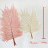 Preserved Fern Leaf for Home Decoration,Eternal Life,Natural Real Fern Plant,Handmade Flowers Material,Wedding,Home, 5Pcs,10Pcs