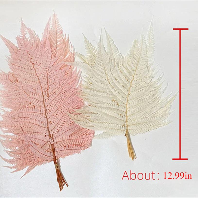 Preserved Fern Leaf for Home Decoration,Eternal Life,Natural Real Fern Plant,Handmade Flowers Material,Wedding,Home, 5Pcs,10Pcs