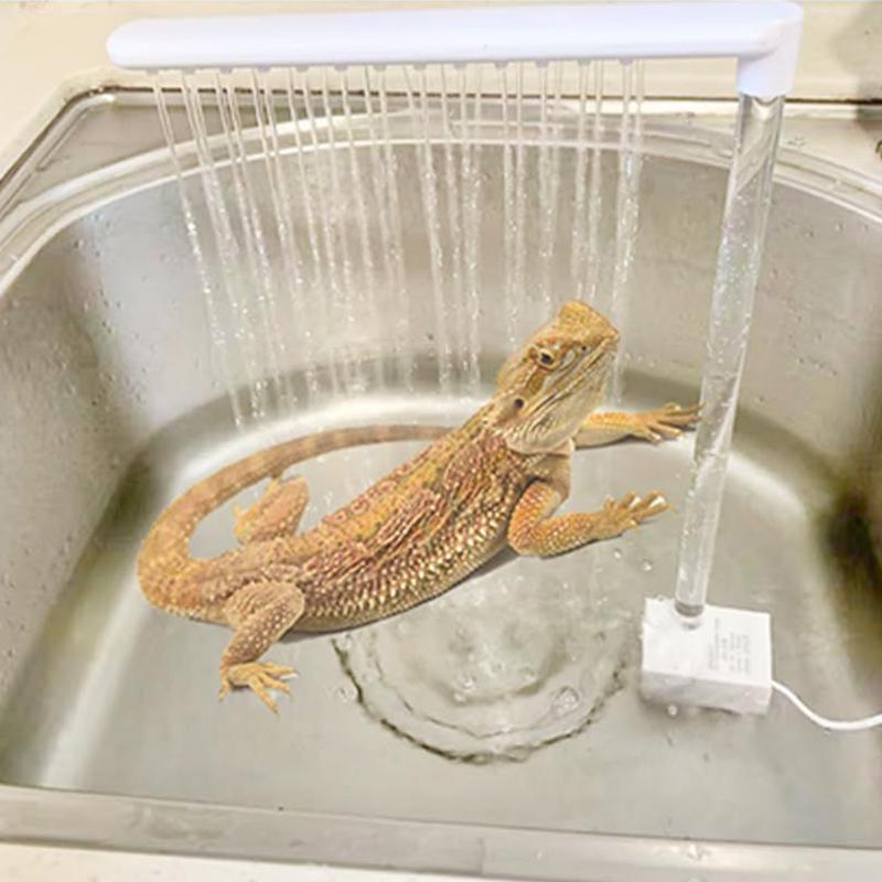 Bearded Dragon Bath Shower Head Cleaning Tools Bearded Dragon Accessories Pet Supplies Electric 360 Rotation Showerhead For