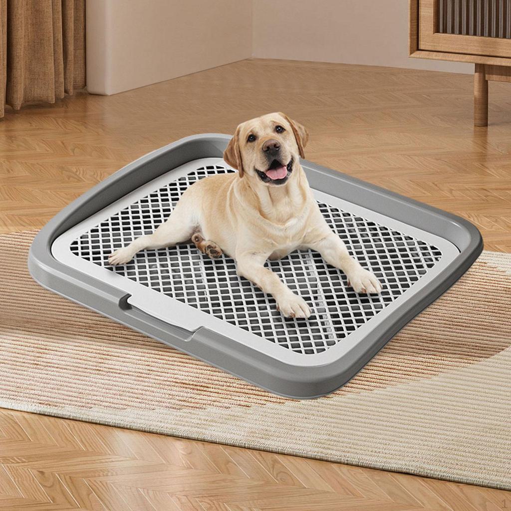 Dog Potty Training Toilet Portable Puppy Pad Holder for Dormitory Home Bunny