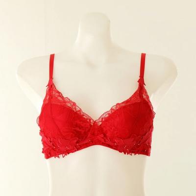 Bust Up Corrective Rose Lace Pads Bra Obr5921cd